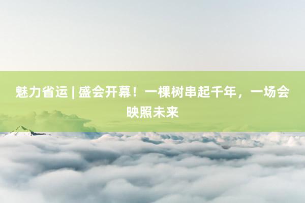 魅力省运 | 盛会开幕！一棵树串起千年，一场会映照未来