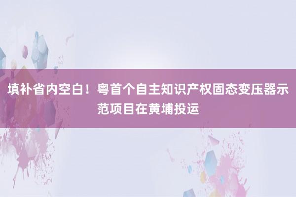 填补省内空白！粤首个自主知识产权固态变压器示范项目在黄埔投运