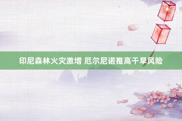 印尼森林火灾激增 厄尔尼诺推高干旱风险