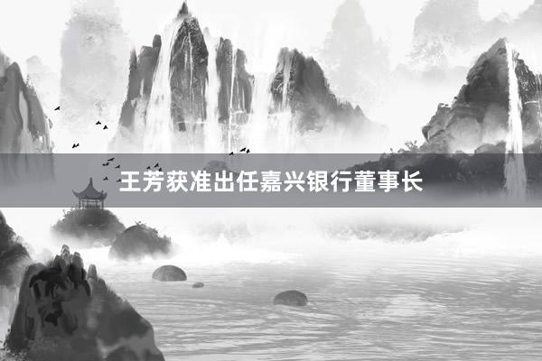 王芳获准出任嘉兴银行董事长