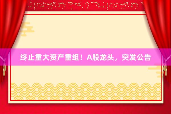 终止重大资产重组！A股龙头，突发公告