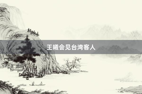 王曦会见台湾客人