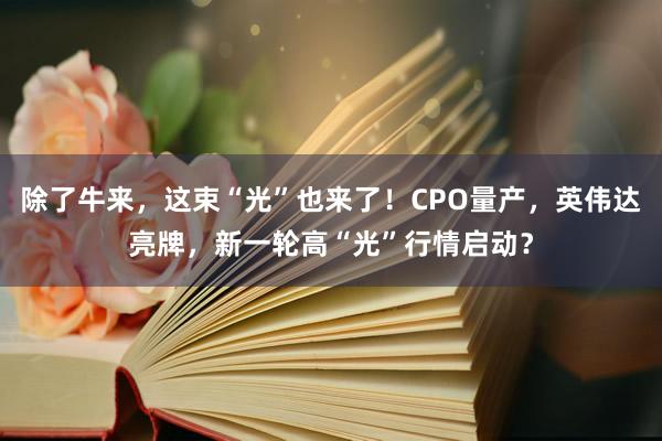 除了牛来，这束“光”也来了！CPO量产，英伟达亮牌，新一轮高“光”行情启动？