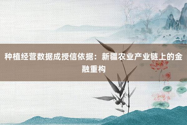 种植经营数据成授信依据：新疆农业产业链上的金融重构