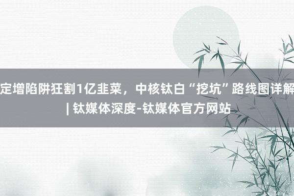 定增陷阱狂割1亿韭菜，中核钛白“挖坑”路线图详解 | 钛媒体深度-钛媒体官方网站