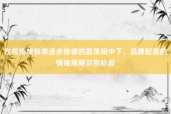 在在情绪斜率逐步放缓的震荡段中下，品牌配资的情绪周期识别阶段