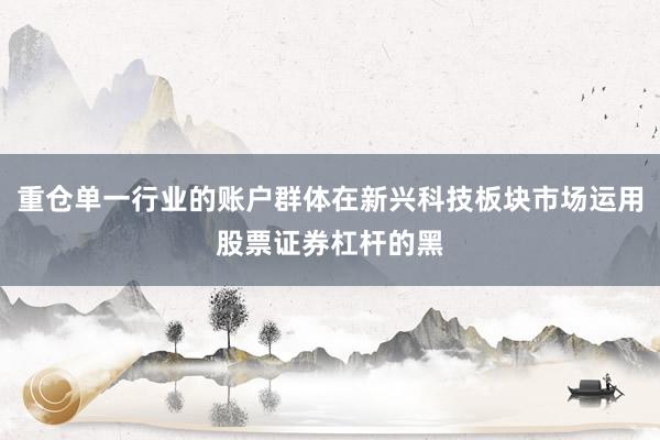 重仓单一行业的账户群体在新兴科技板块市场运用股票证券杠杆的黑