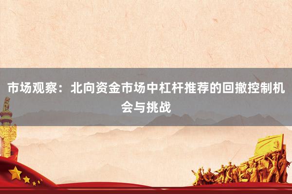 市场观察：北向资金市场中杠杆推荐的回撤控制机会与挑战