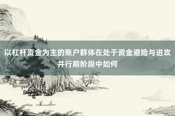 以杠杆资金为主的账户群体在处于资金避险与进攻并行期阶段中如何