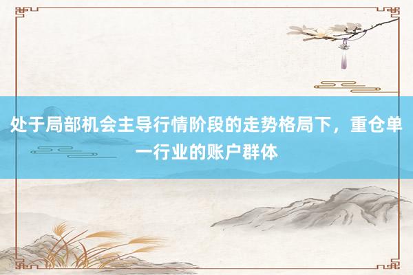 处于局部机会主导行情阶段的走势格局下，重仓单一行业的账户群体