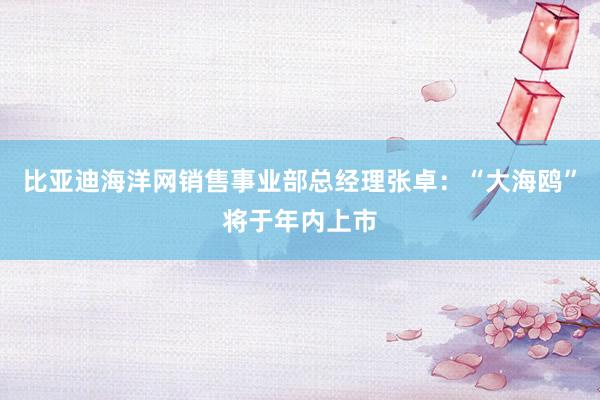 比亚迪海洋网销售事业部总经理张卓：“大海鸥”将于年内上市
