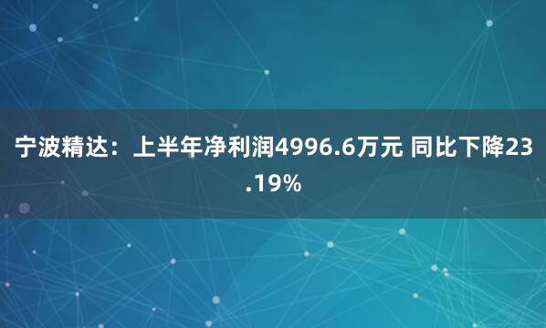 宁波精达：上半年净利润4996.6万元 同比下降23.19%