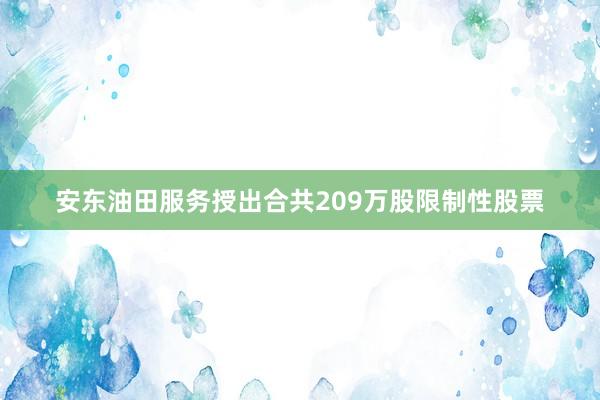 安东油田服务授出合共209万股限制性股票