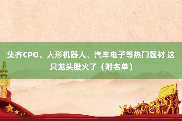 集齐CPO、人形机器人、汽车电子等热门题材 这只龙头股火了（附名单）