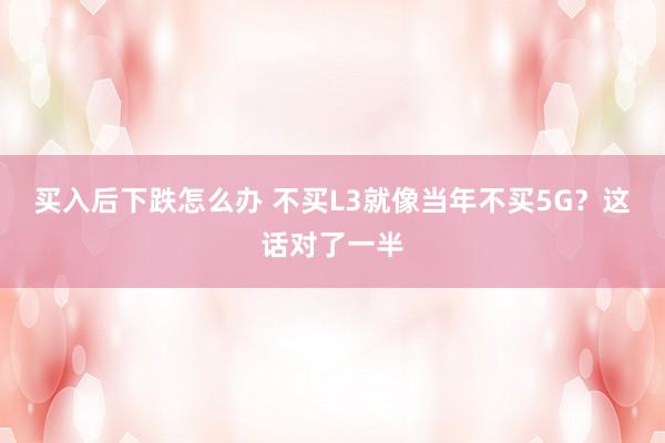 买入后下跌怎么办 不买L3就像当年不买5G？这话对了一半