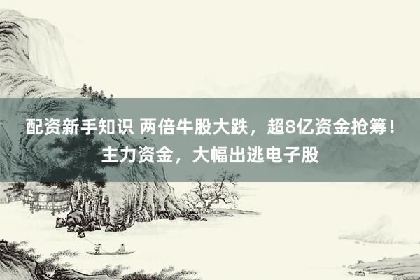 配资新手知识 两倍牛股大跌，超8亿资金抢筹！主力资金，大幅出逃电子股