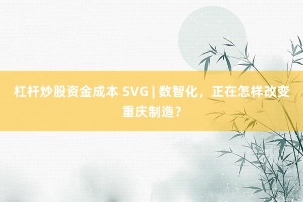 杠杆炒股资金成本 SVG | 数智化，正在怎样改变重庆制造？