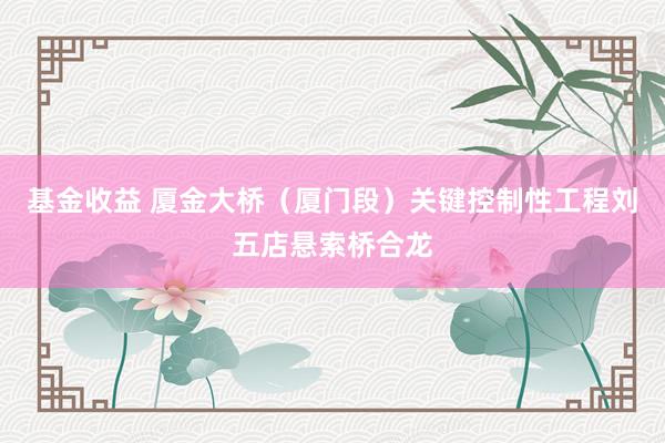 基金收益 厦金大桥（厦门段）关键控制性工程刘五店悬索桥合龙