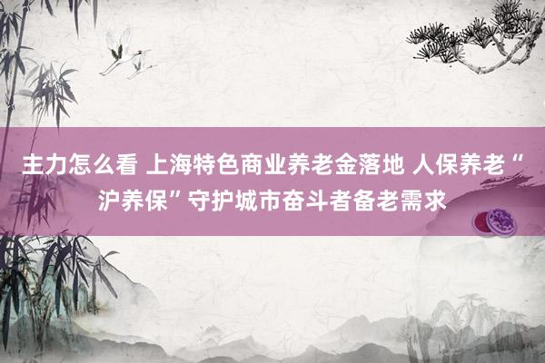 主力怎么看 上海特色商业养老金落地 人保养老“沪养保”守护城市奋斗者备老需求