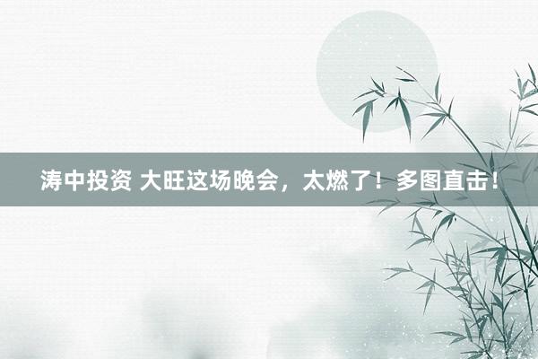 涛中投资 大旺这场晚会，太燃了！多图直击！