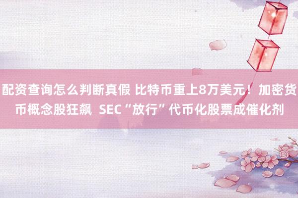 配资查询怎么判断真假 比特币重上8万美元！加密货币概念股狂飙  SEC“放行”代币化股票成催化剂