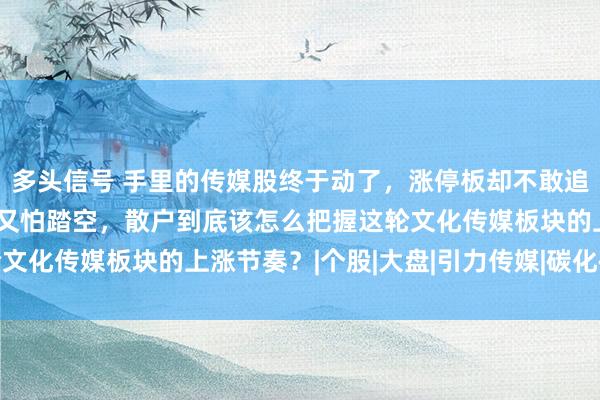 多头信号 手里的传媒股终于动了,涨停板却不敢追,追了又怕被套,卖了又怕踏空,散户到底该怎么把握这轮文化传媒板块的上涨节奏?|个股|大盘|引力传媒|碳化硅概念