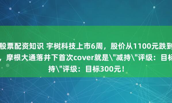 股票配资知识 宇树科技上市6周，股价从1100元跌到450.40，摩根大通落井下首次cover就是