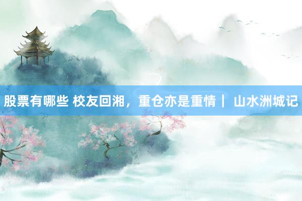 股票有哪些 校友回湘，重仓亦是重情｜ 山水洲城记