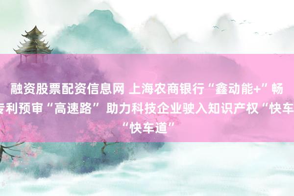 融资股票配资信息网 上海农商银行“鑫动能+”畅通专利预审“高速路” 助力科技企业驶入知识产权“快车道”