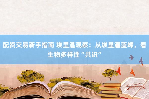 配资交易新手指南 埃里温观察：从埃里温蓝蝶，看生物多样性“共识”